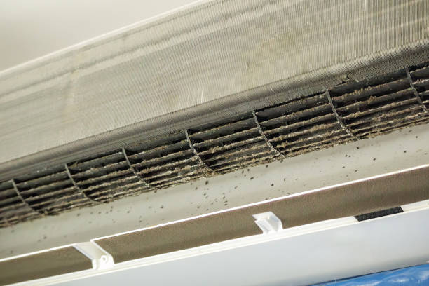 Best HVAC Maintenance and Cleaning  in Lofall, WA