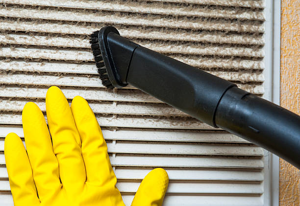 Best Dryer Vent Cleaning Services  in Lofall, WA
